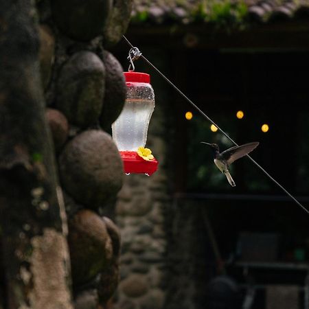 Pura Vista Glamping Otel El Castillo Dış mekan fotoğraf