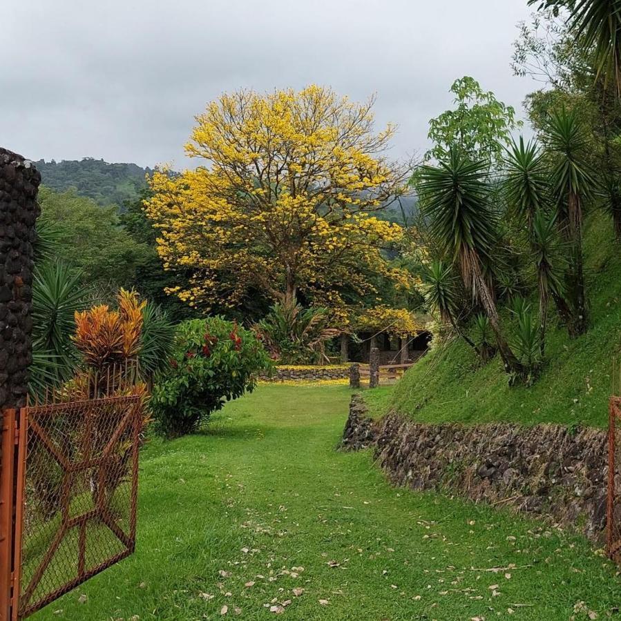 Pura Vista Glamping Otel El Castillo Dış mekan fotoğraf
